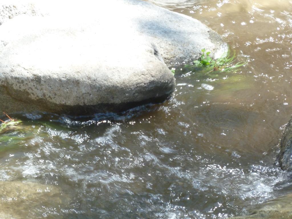 Resort River Ruidoso